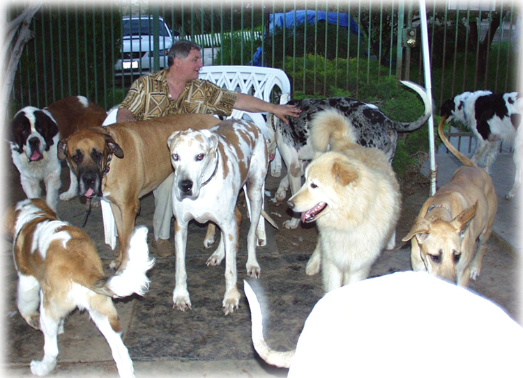 Burt tries to get our Gentle Giants to pose for a 'Family Photo'